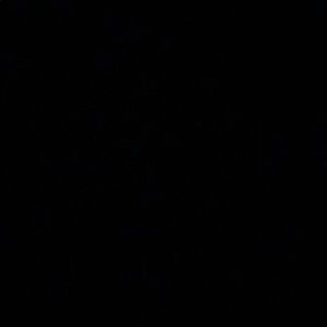 Meet your Posher, Nirvana